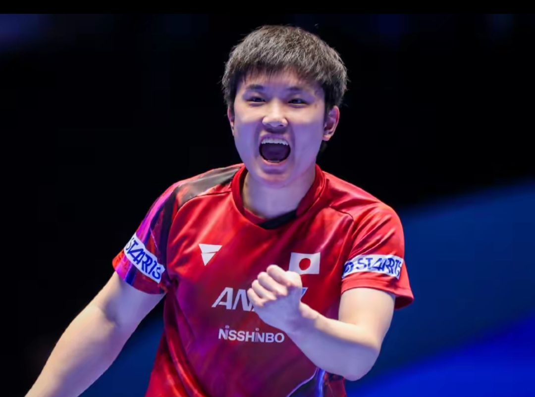 往往能够成 往往能够成